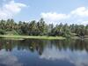 Sri Beach Bungalows And Villa