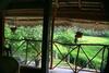 The Green View Yala