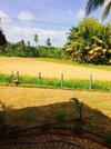 The Green View Yala