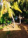 The Green View Yala