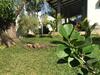Bed & Breakfast Yala Golden Park