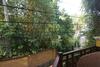 Hotel Thaproban Beach House