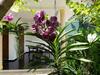 Coral Palm Villa And Apartment