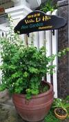 Aloe Garden Homestay
