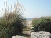 Apartamento Green Village