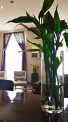 Hotel La Isabela
