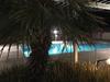 Hotel Desert Palm Spa Resort