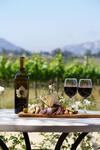 Hotel Carter Estate Winery And Resort