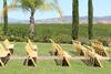 Hotel Carter Estate Winery And Resort