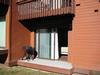 Apartamento Snowcreek 44