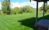 Venice Drive Meadow View