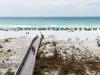 Apartamento Gulf Dunes 303