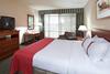 Hotel Holiday Inn Southgate - Detroit South