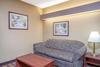 Hotel Microtel Inn & Suites By Wyndham Eagan/st Paul