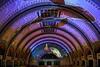 Hotel Doubletree St. Louis Union Station