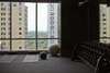 Hotel Park Hyatt New York