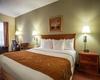 Hotel Comfort Suites Northlake