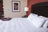 Hotel Hampton Inn & Suites Dickinson Nd
