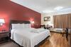 Hotel Red Roof Plus Austin South