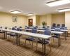 Hotel Comfort Suites La Porte