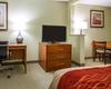 Hotel Comfort Inn & Suites Black River Falls I-94