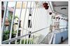 Apartamentos New Land House 8