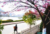 Sapa Lake View Hotel