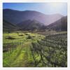 Agroturismo Pat Busch Mountain Reserve
