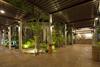 Hotel Areca Lodge