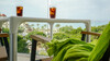 Hotel Houm Plaza Son Rigo