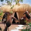 Hotel Lindner Golf & Wellness Resort Portals Nous
