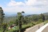 Posada Queens Rest Inn