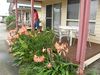 Apartamento Dolphin Sands Holiday Cabins