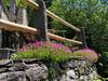 C� Dal Bosc E C� Sgr�scia