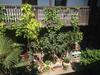 Hotel Szent Anna Panzi�