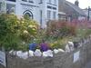 Bed & Breakfast Bosayne Guest House