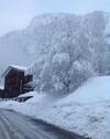 B&B Monte Giove Formazza