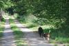 Bed & Breakfast De Hagmolenbeek Boekelo