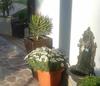 Ferienhaus Barbara Boeck