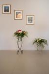 "dal Cavaliere" Apartment