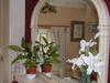 The Stockton Arms Hotel