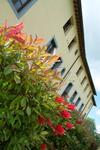 Apartamento Residence Giuly Rosselmini