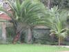 Diani Springs Apartments Nairobi