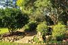 Bed & Breakfast Aloe Country Lodge