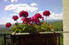 Agroturismo Borgo Tramonte