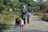 Apartamento Socrates Organic Village - Wild Olive