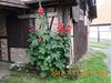 Apartamento Ferienwohnung Kallfass