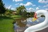 Agroturismo Hotel Fazenda Monte Si�o