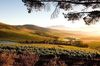Posada Jordan Wines Luxury Suites