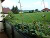 Hostal Landgasthof Waldesruh